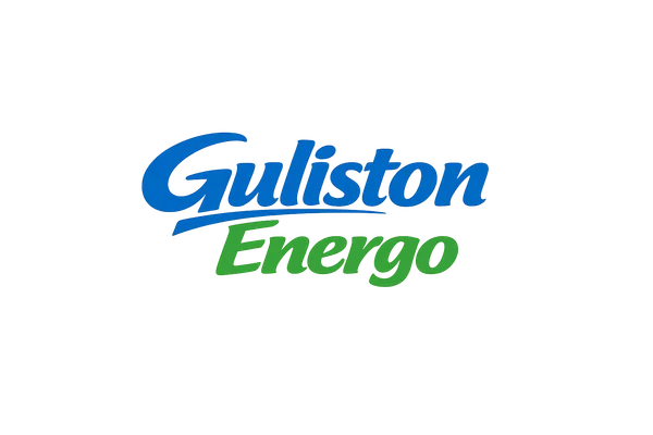 Guliston Energo logo
